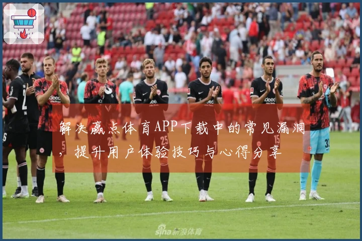 解决赢点体育APP下载中的常见漏洞，提升用户体验技巧与心得分享